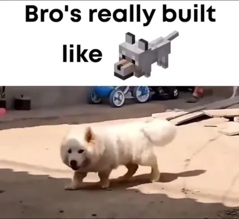 Bro Is Built Like Minecraft Wolf