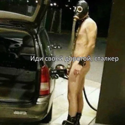 Иди своей дорогой, сталкер