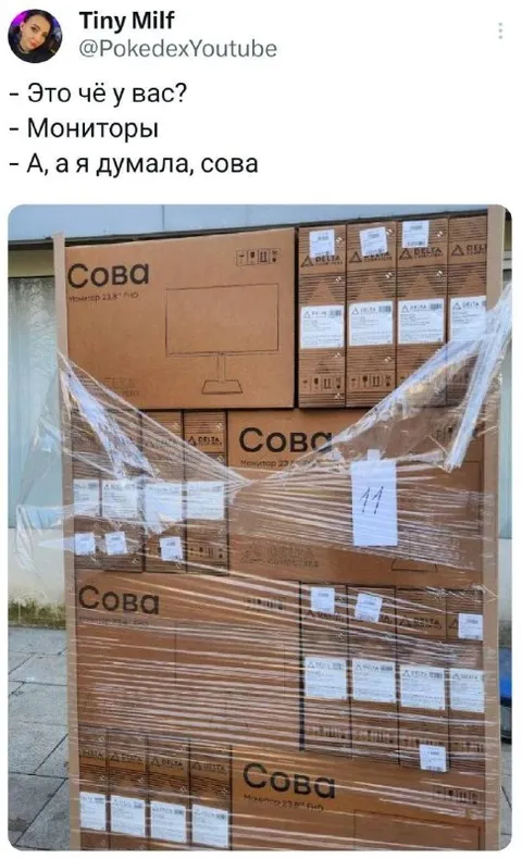 Я думала, сова