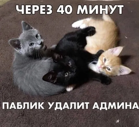 Паблик удалит админа