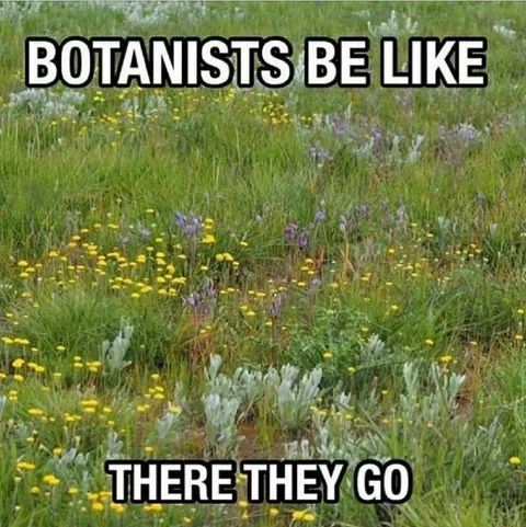 Botanists Identify Every Plant