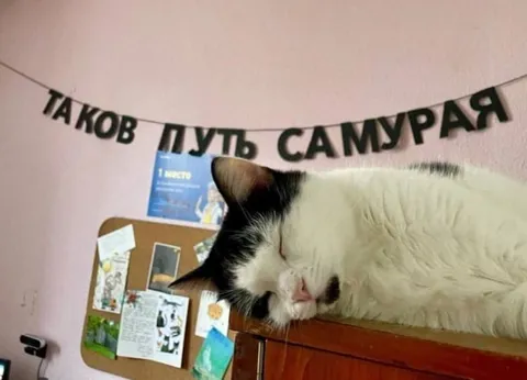 Таков путь самурая