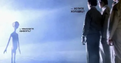 Хотите холодец?