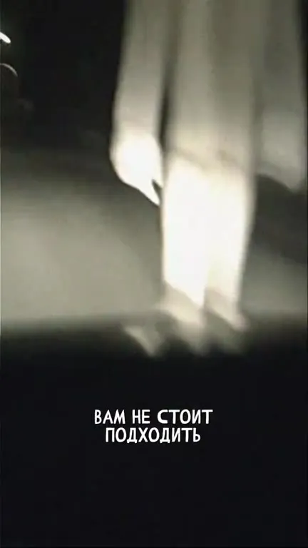 Доброволец-2214 сбежал в лес