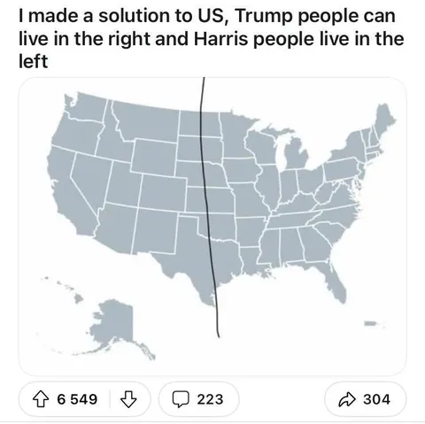 Trump and Harris America Split