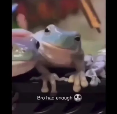 Bro Had Enough Frogs