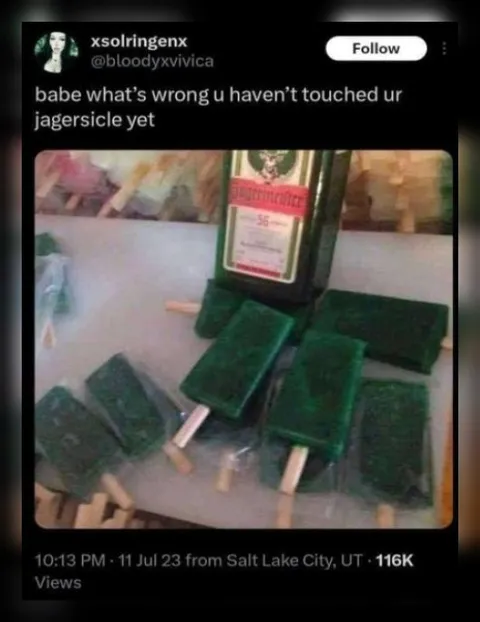 You Haven’t Touched Your Jagersicle