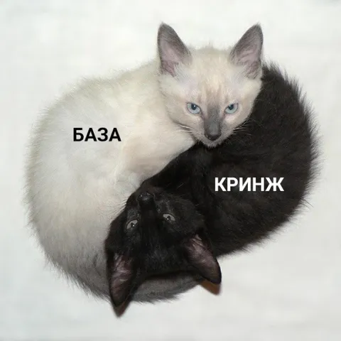 База и кринж