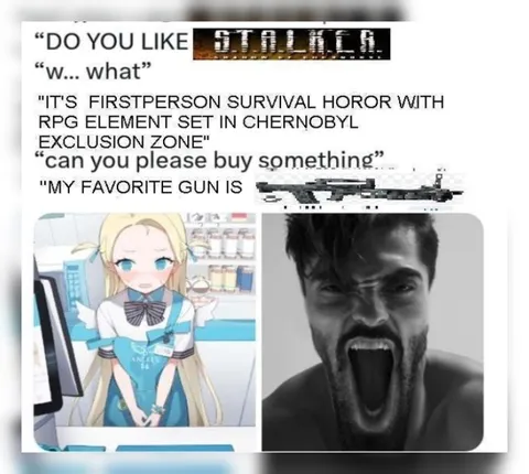 Explaining STALKER to a Shopkeeper