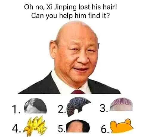Xi Jinping Hair Hunt
