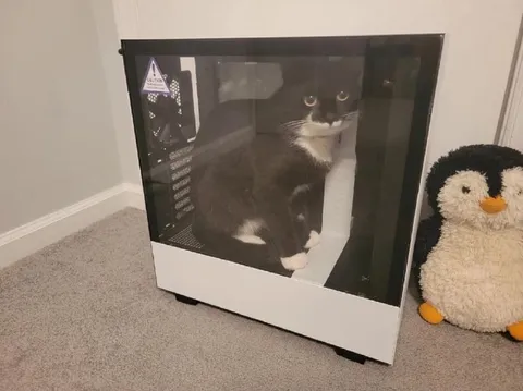 Cat Inside a Computer Case