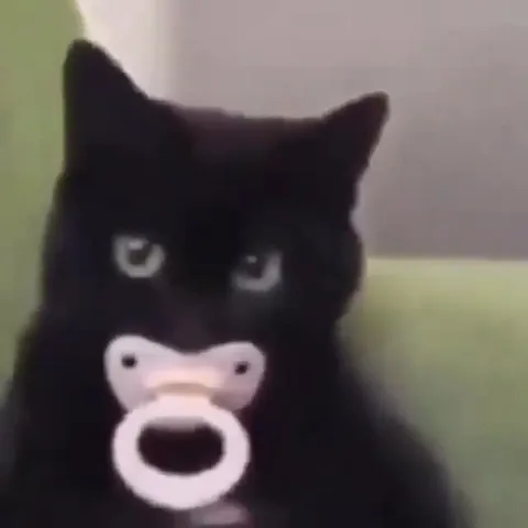 Чёрный кот с пустышкой