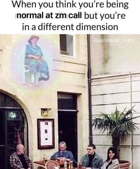 Normal Zoom Call Different Dimension