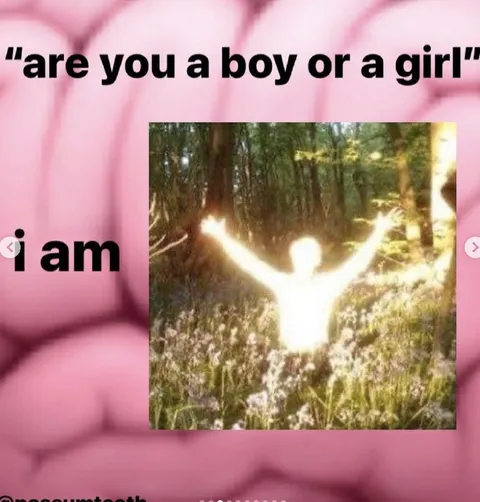 I Am Light in the Forest