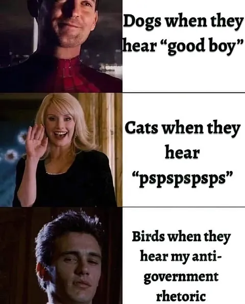 Dogs Cats and Birds Reaction