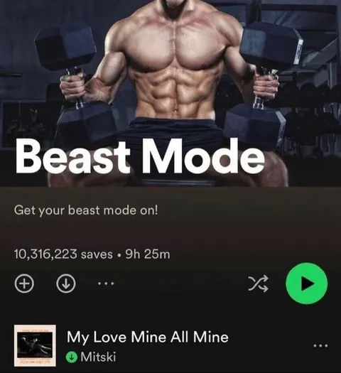 Beast Mode Mitski Playlist