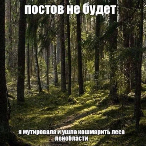 Постов не будет в лесу