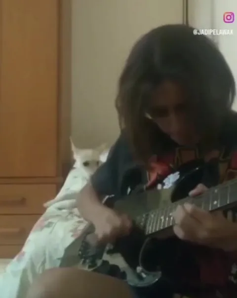 Кот слушает гитарное соло