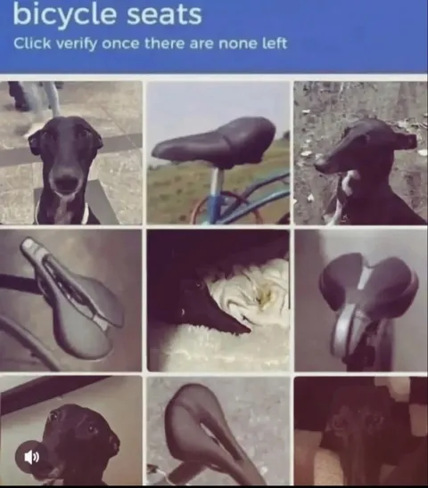 Bicycle Seats Verification Captcha