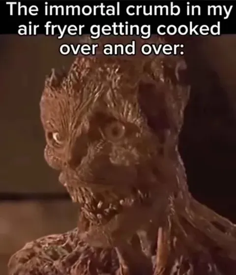 Immortal Air Fryer Crumb