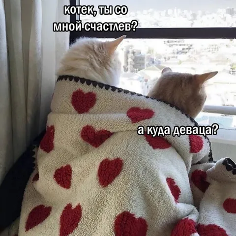 Котек, ты со мной счастлив?