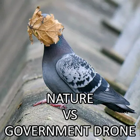 Nature vs Government Drone