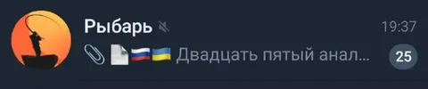 Двадцать пятый анализ