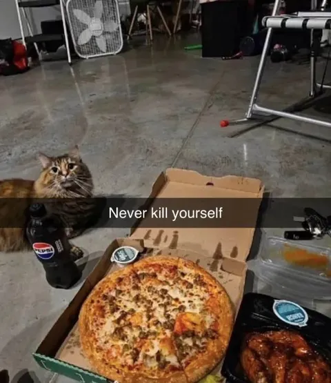 Never Kill Yourself Pizza Cat
