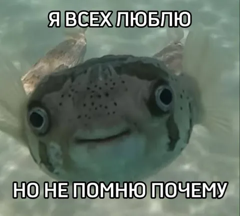 Я всех люблю, но не помню почему