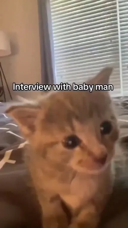 Interview With Baby Man