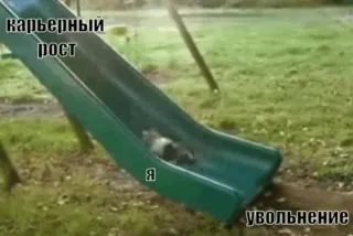 Карьерный рост до увольнения