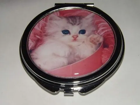Котёнок в зеркальце
