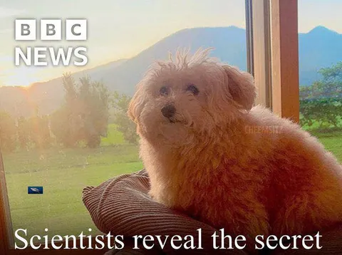 Scientists Reveal the Secret