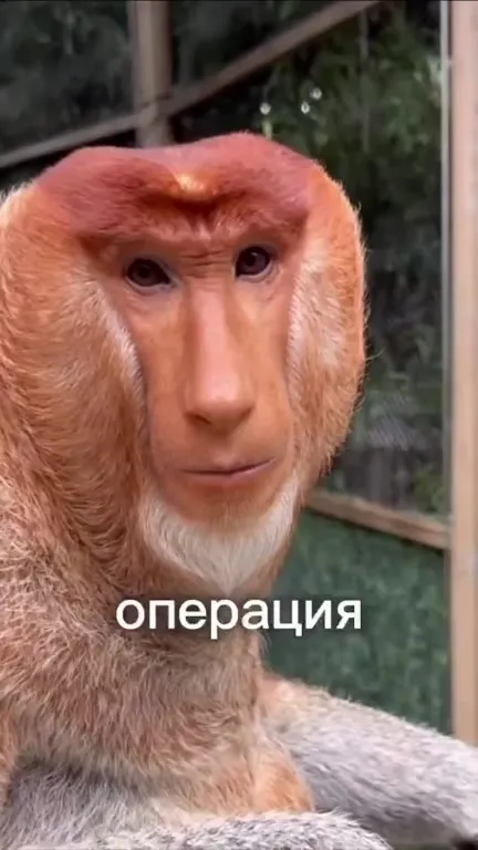 Из дрочера в бога за осень