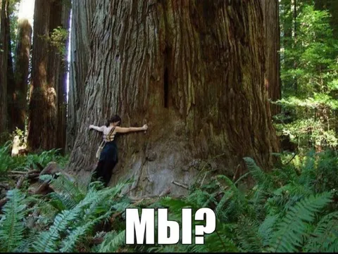 Мы?