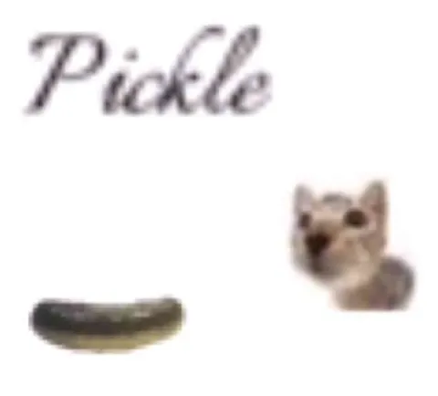 Pikala и задумчивый кот
