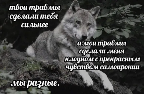 Волк с прекрасным чувством самоиронии