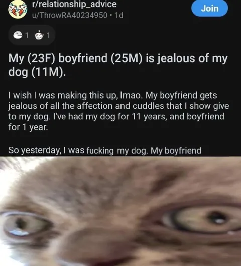 Boyfriend jealous of dog