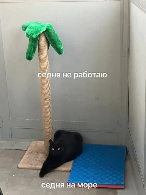 Сегодня не работаю, я на море