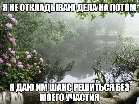 Дела решаются сами
