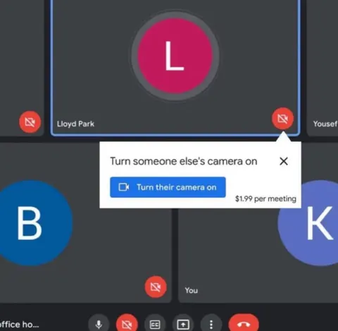Pay to Turn Their Camera On