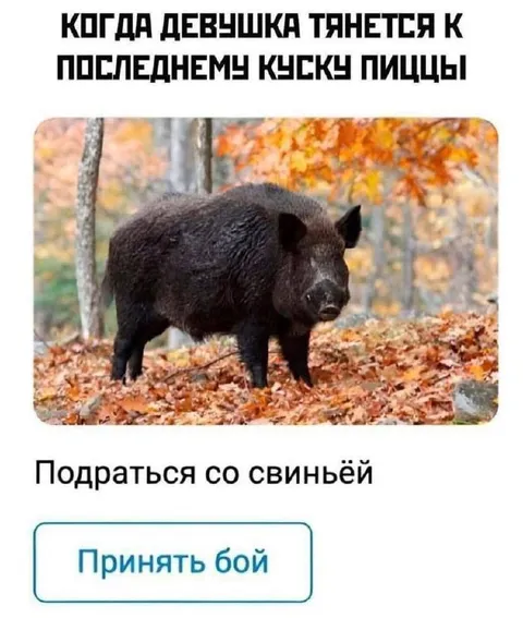 Подраться со свиньёй