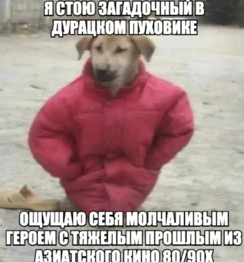 Загадочный герой в пуховике