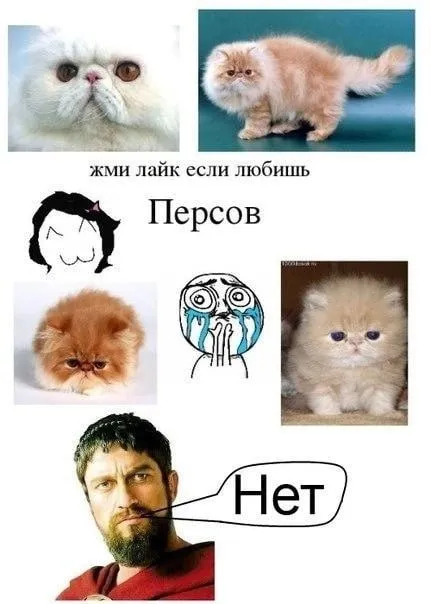 Жми лайк если любишь персов