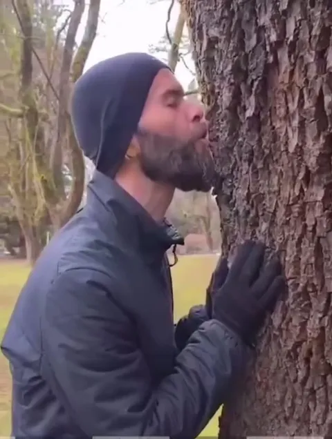 Друид целует дерево