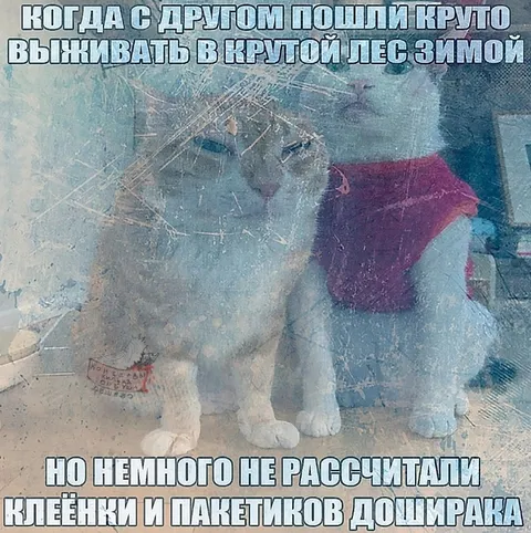 Выживание в лесу с Дошираком
