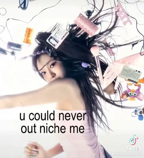 You Could Never Out-Niche Me