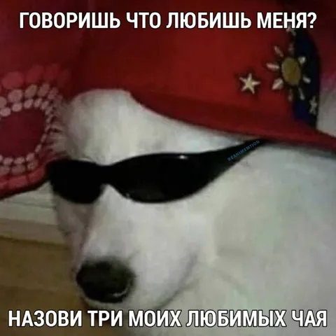 Назови три моих любимых чая