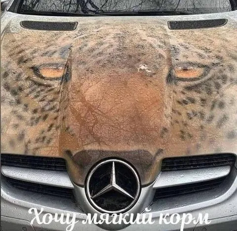 Хочу мягкий корм