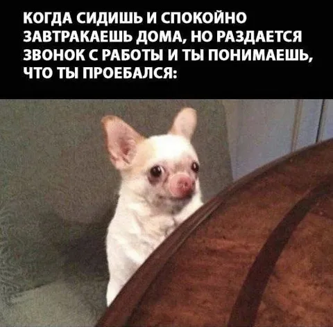 Звонок с работы за завтраком